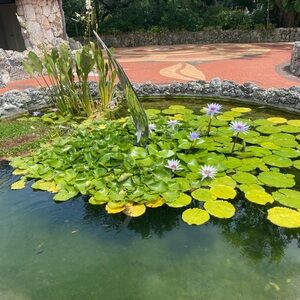 Meet your Posher, Isabel